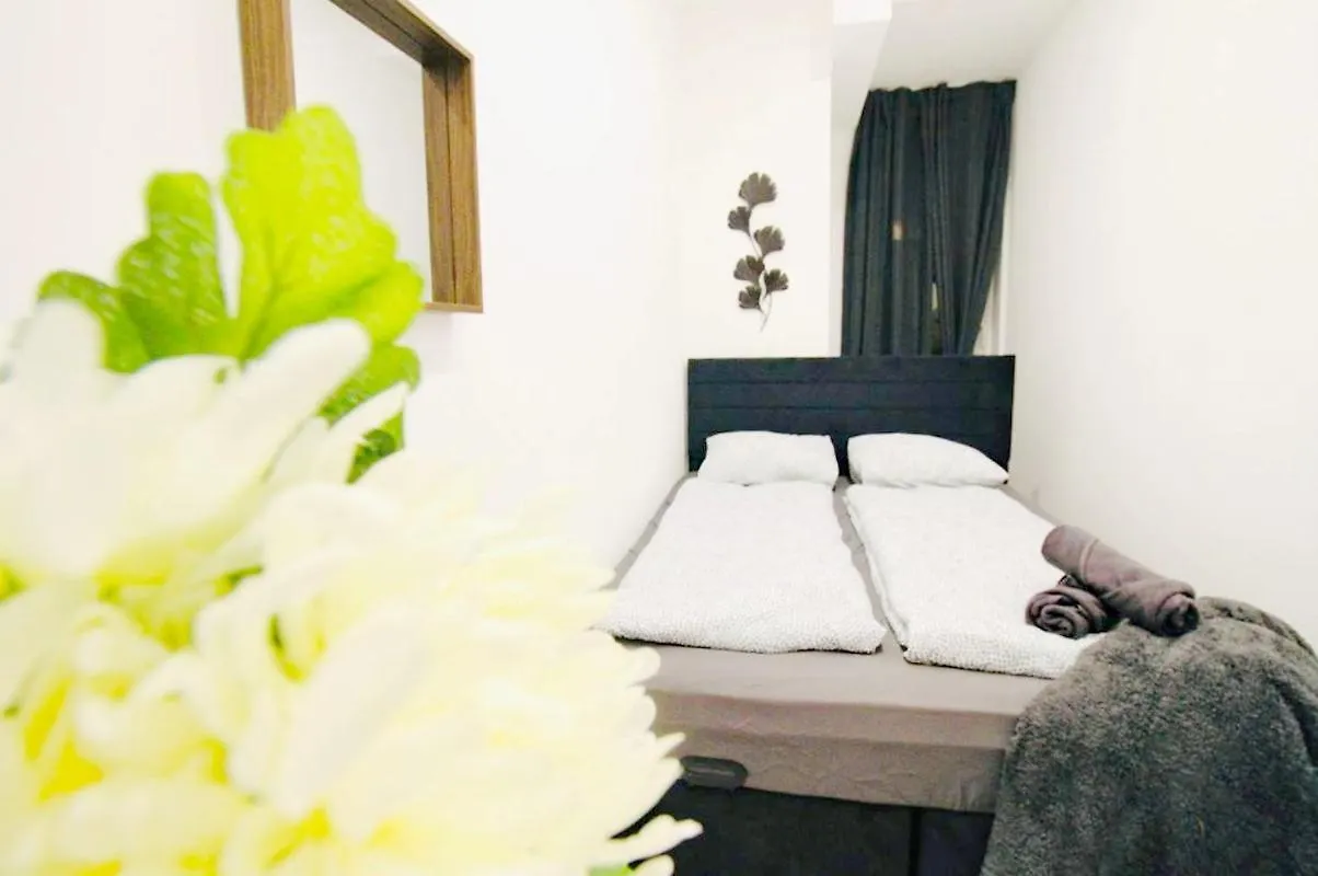 Comfortable Rooms In Akh Area Vienna 0*,